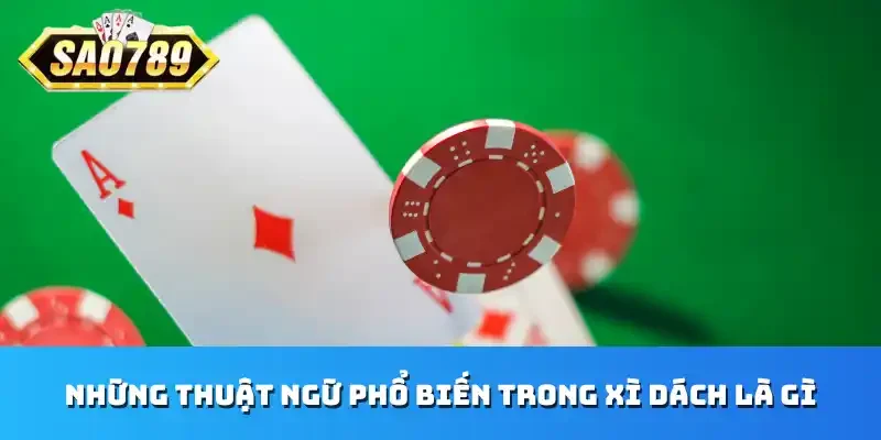 Những thuật ngữ phổ biến trong Xì Dách là gì